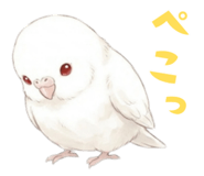 837800770