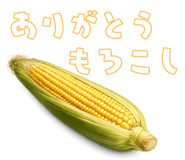 837800807