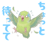 837800951