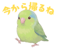 837800954
