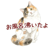 837801578