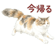 837801580
