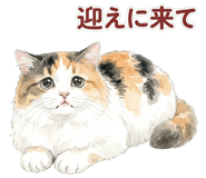 837801581