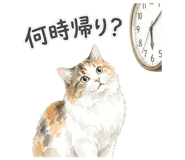 837801582