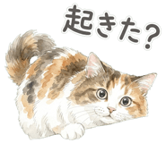 837801584