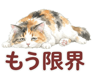 837801589