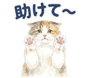 837801590