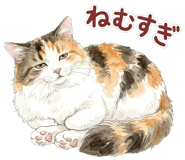 837801591