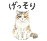 837801593