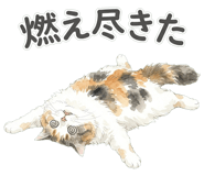 837801594