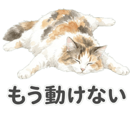 837801595