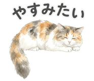 837801596