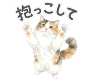 837801598