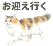 837801601