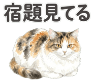 837801602