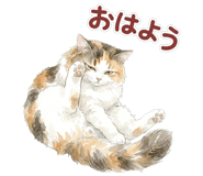 837801607