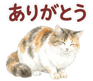 837801612