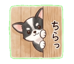 837802072