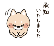 837804771