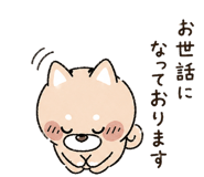 837804781