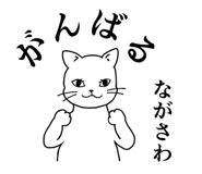 837805097