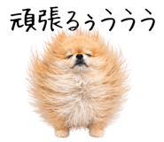 837808430