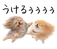 837808440