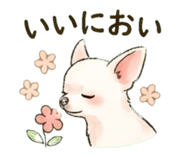 837809200