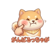 837810595
