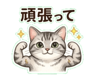 837811614