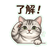 837811617