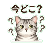 837811620