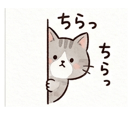 837811816