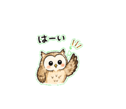 837812558