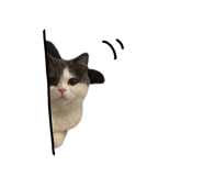 837812625