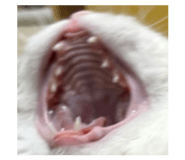 837812626