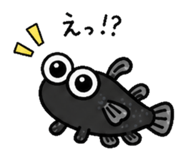 837812900