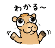 837813380