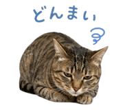 837813949