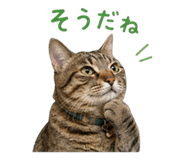 837813950