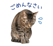 837813954