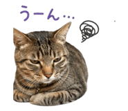 837813960