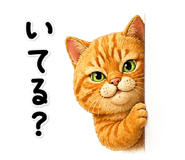 837814636