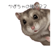 837814914