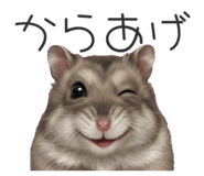 837814916