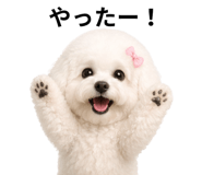 837820811