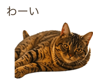 837820908