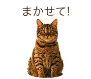 837820917