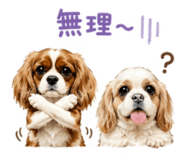 837821556