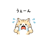 837825184
